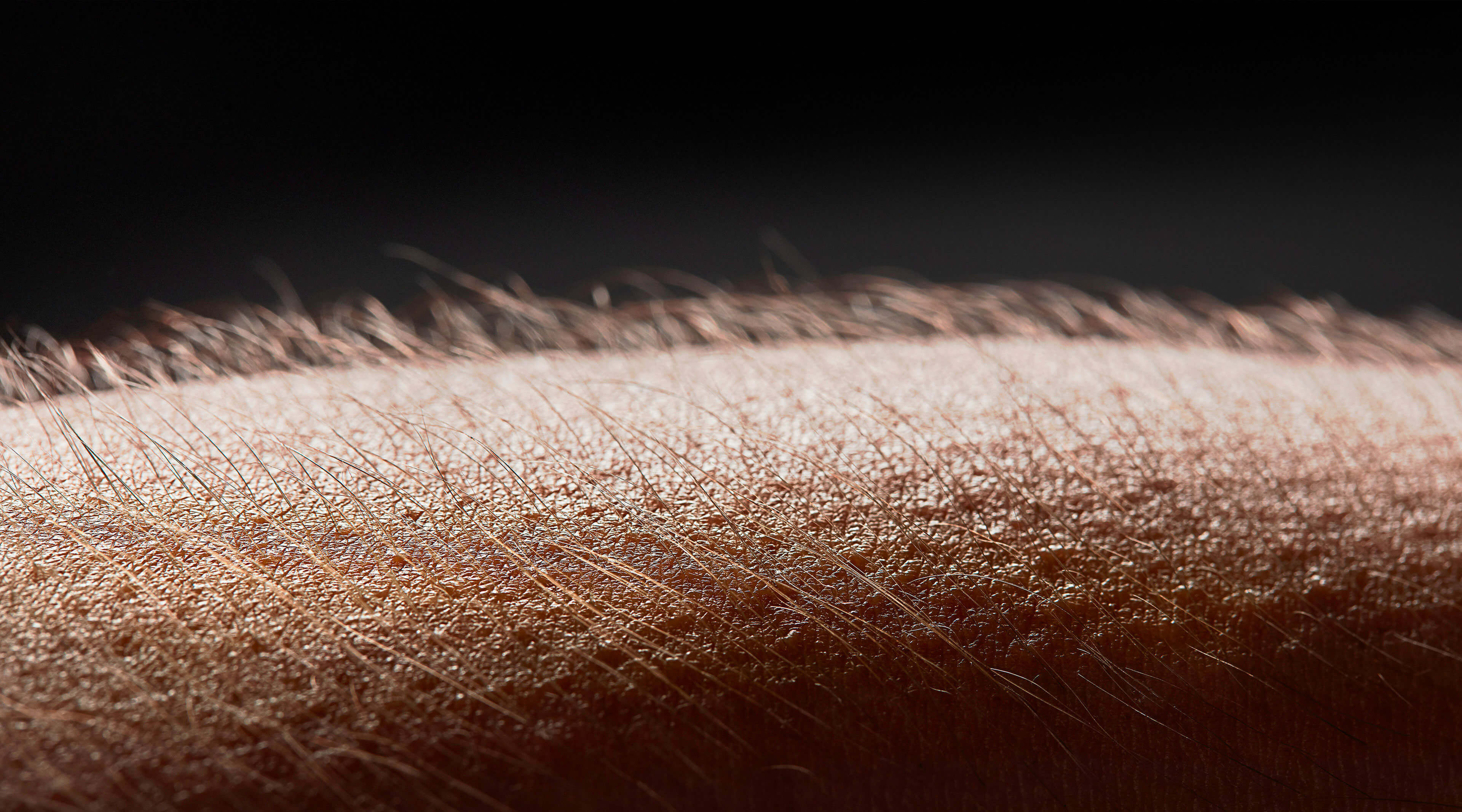 EXHILARATION EXHILARATION